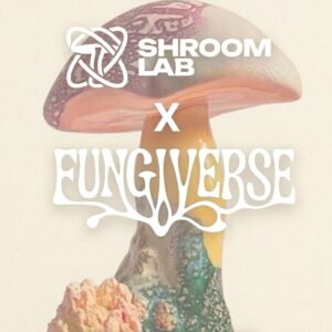 Warszaty mykologiczne Shroom LAB X Fungiverse 27.09.2026